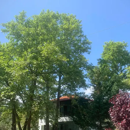 La Maison Des Vacances Ferienhaus *