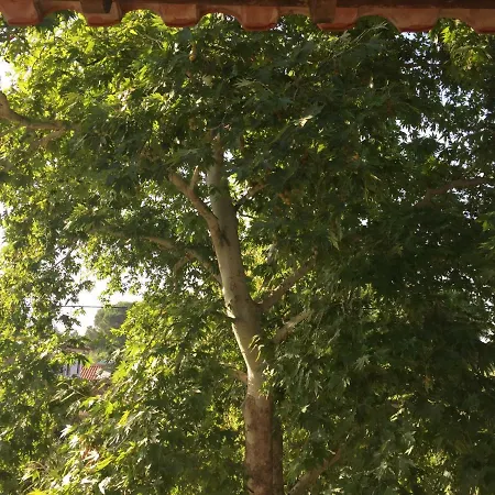 La Maison Des 펜션 보우르보우로우